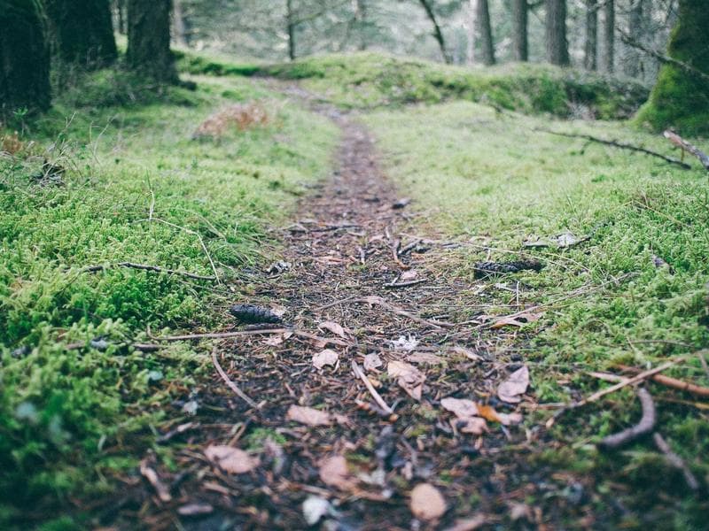 The Loop Storefront Modernization