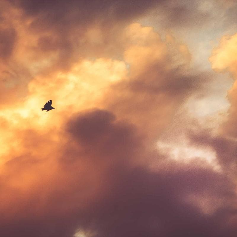 Custom mirror wall installation in a Chicago gym